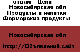  отдам › Цена ­ 1 - Новосибирская обл. Продукты и напитки » Фермерские продукты   . Новосибирская обл.